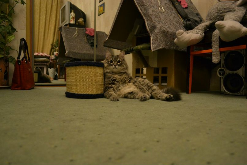 Марьяна Новикова | Высокое / Владимировка