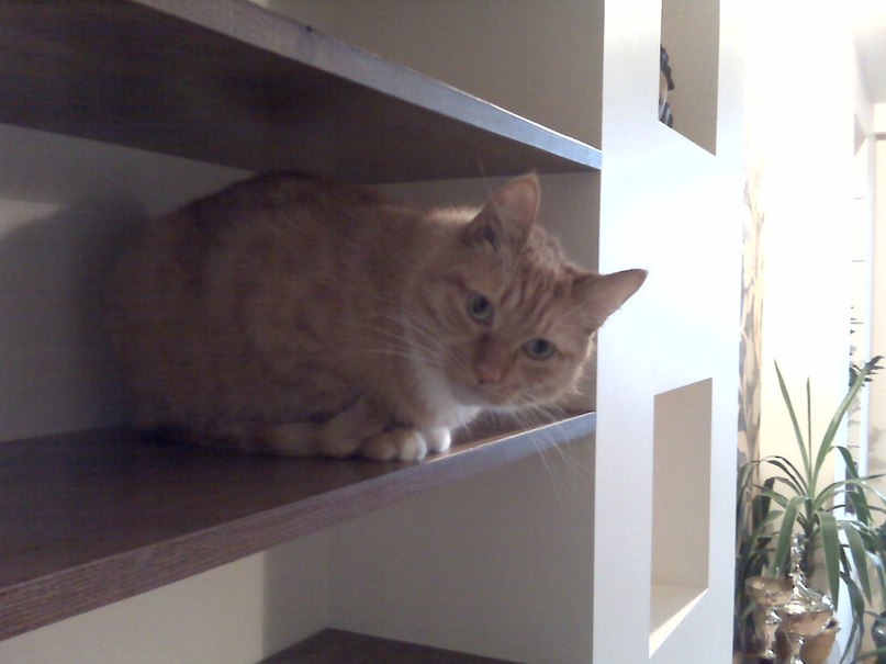 Агван Железнов | Санкт-Петербург