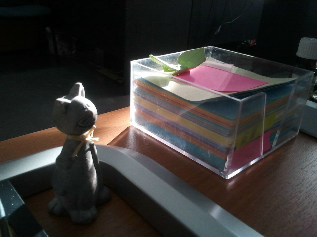 Анастасия Панова | Тюмень