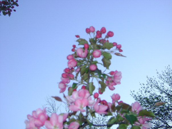 №101, Ринат Кудакаев №101, Ринат Кудакаев