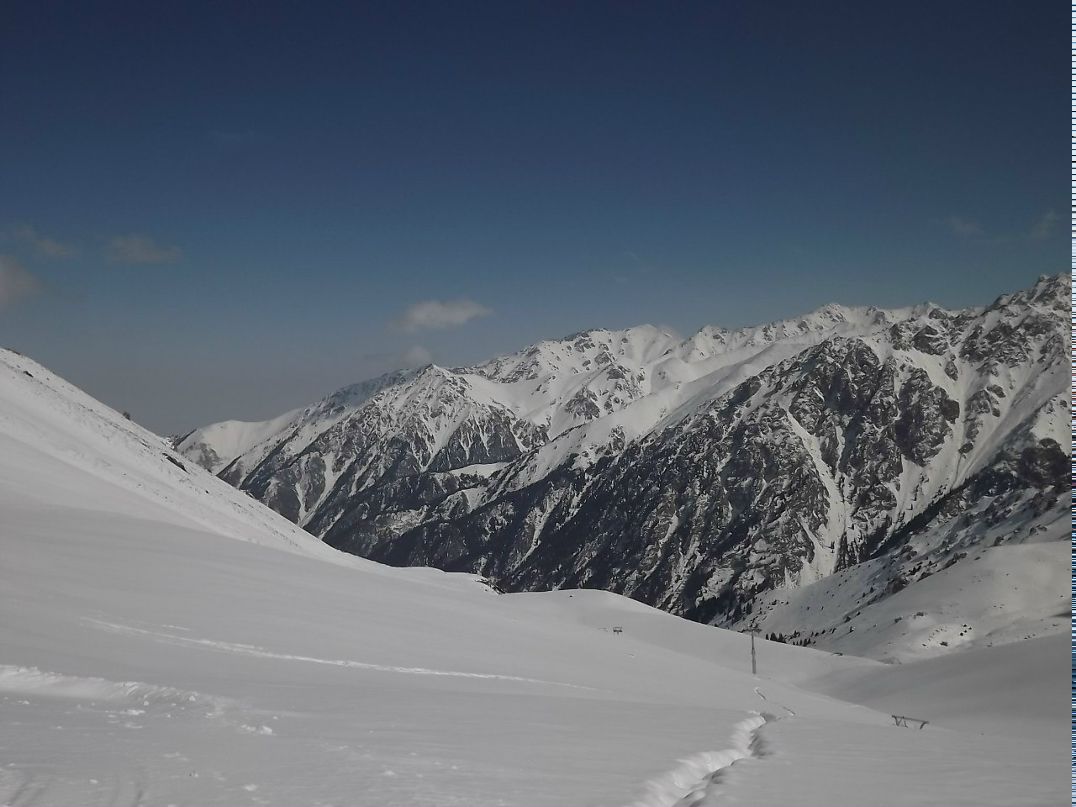 Андрей Гулак | Санкт-Петербург