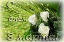 Фотография Михайленко Милы