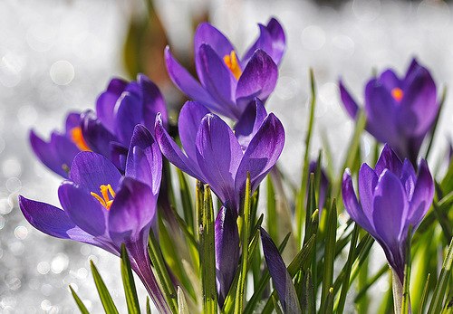 №19, Алексей Аридов, 124 года, Санкт-Петербург №19, Алексей Аридов, 124 года, Санкт-Петербург