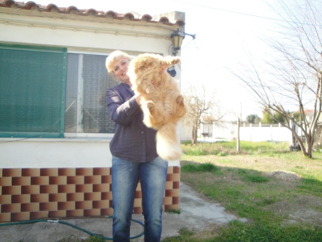 Юра Гава | London