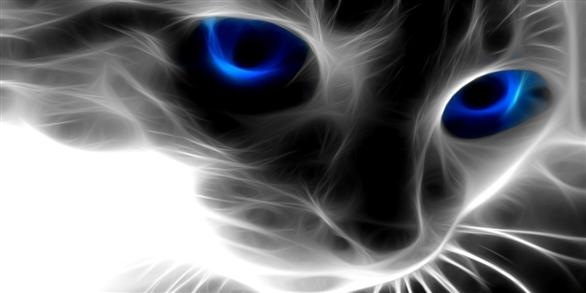 №12, Вова Oldman, 38 лет, Севастополь №12, Вова Oldman, 38 лет, Севастополь