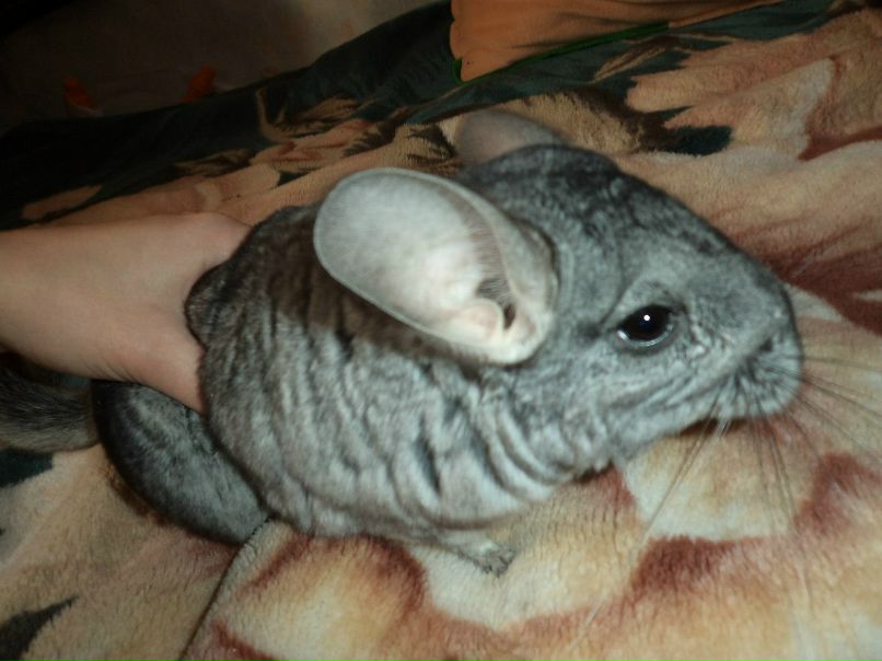 Ирина Сергеева | Пушкино