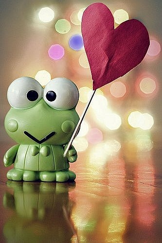 №72, Дина Лаптева, 38 лет, Киев №72, Дина Лаптева, 38 лет, Киев