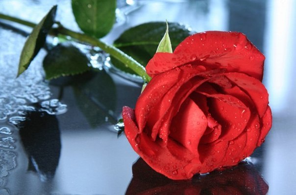 №19, Саша Ностаева, Москва №19, Саша Ностаева, Москва