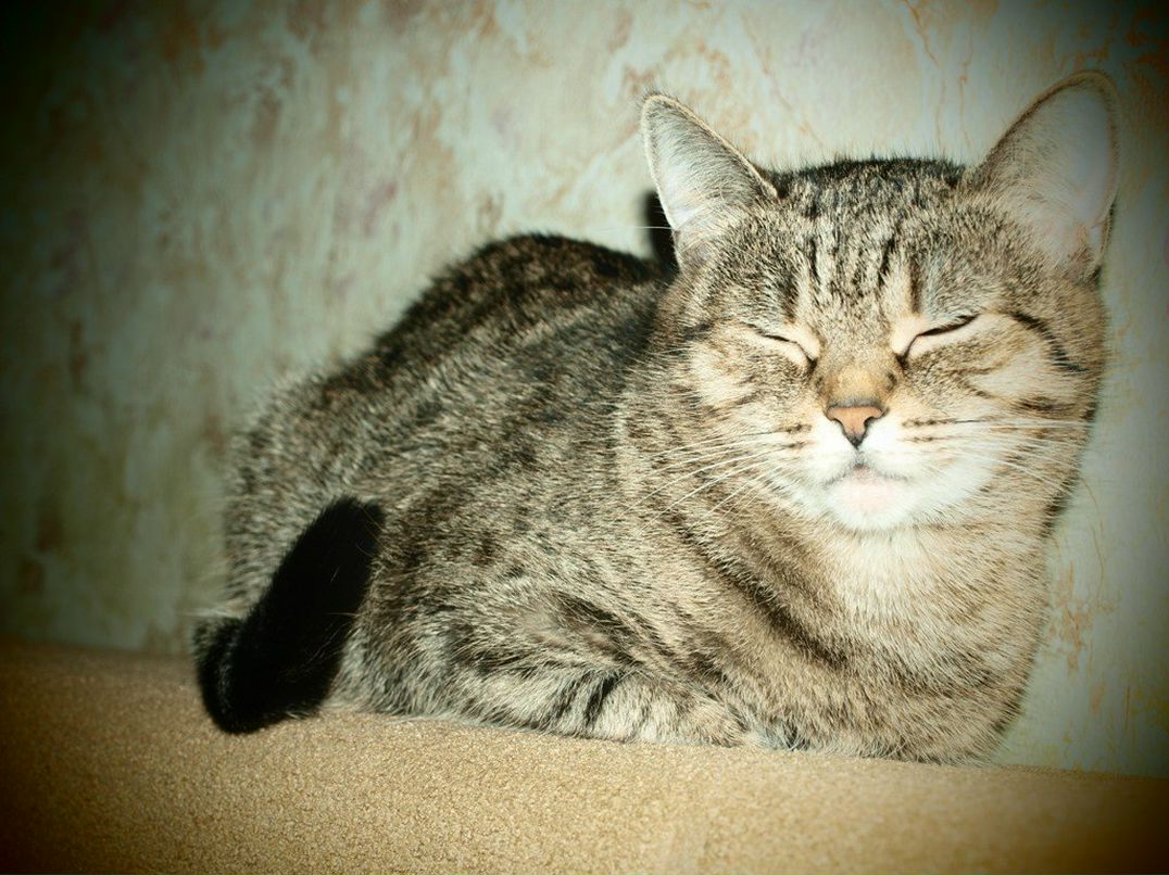 Динарочка Астахова | Москва