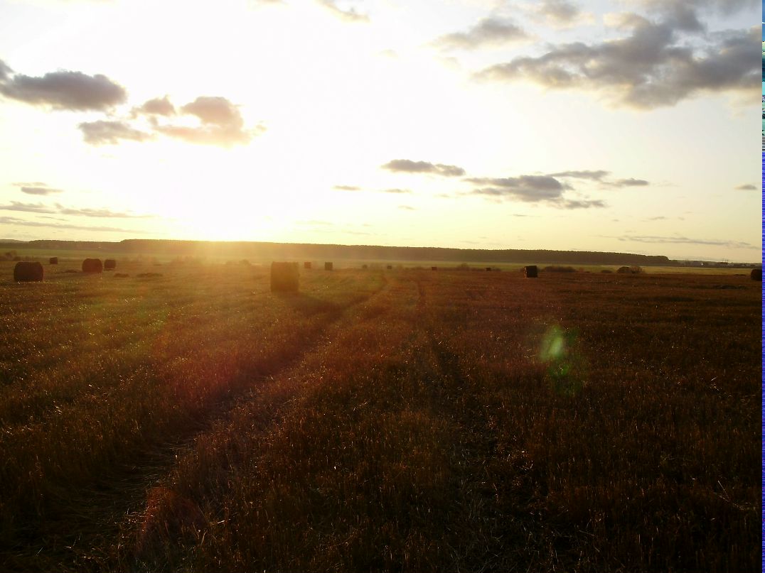 Евгения Новоселова | Екатеринбург
