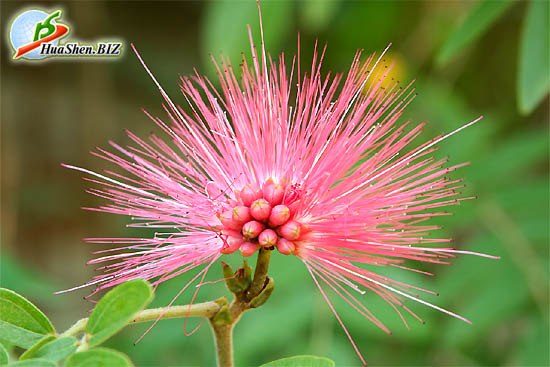 James Ford Hákon | Southlake