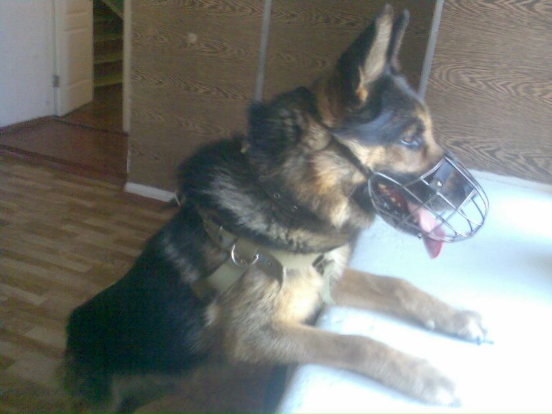 Yulia Tishchenko | Чернигов