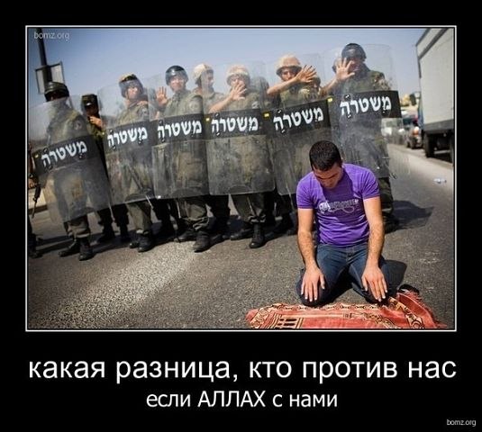 Гасан Магомедов | Махачкала