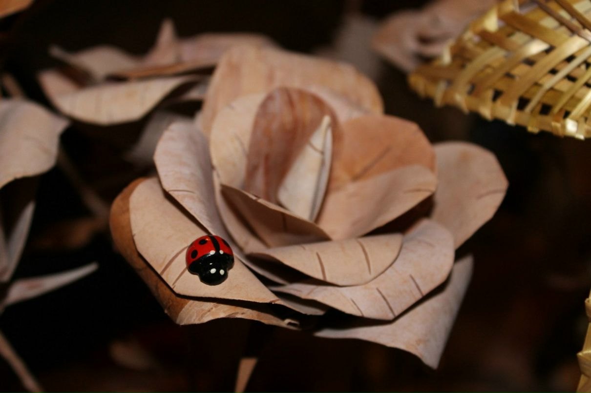 Татьяна Сергеева | 