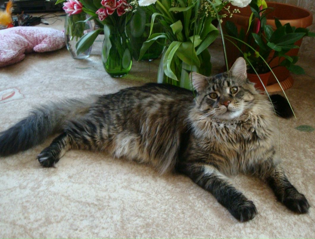 Мария Бобылёва | Владивосток