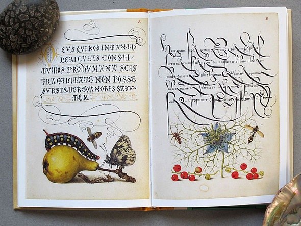 Тина Романова | Одесса