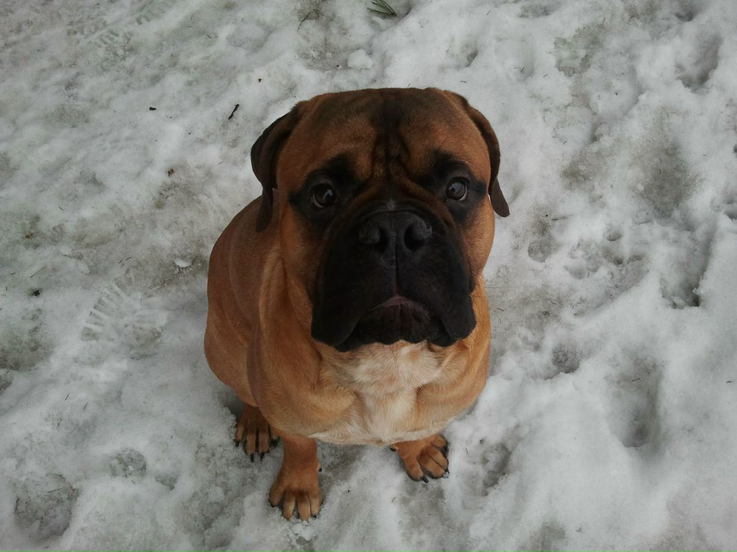 Владимир Головков | Ставрополь