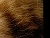 Александр Фёдоров | Санкт-Петербург