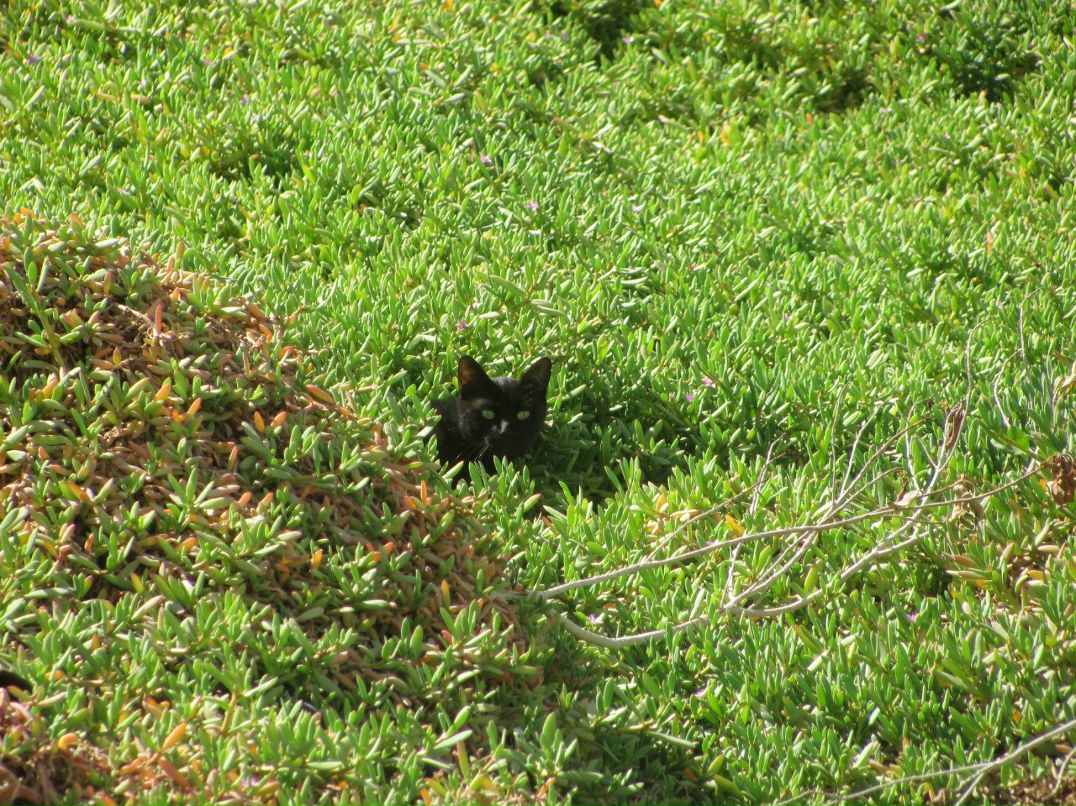 Аня Герасименко | Запорожье