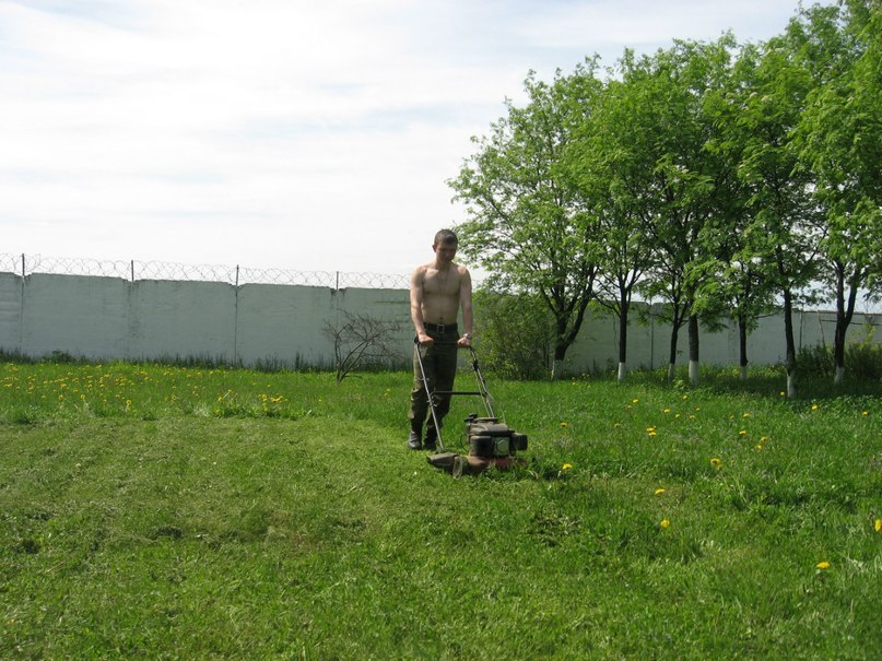 Дмитрий Селищев АлекС@нДырЧ | Липецк