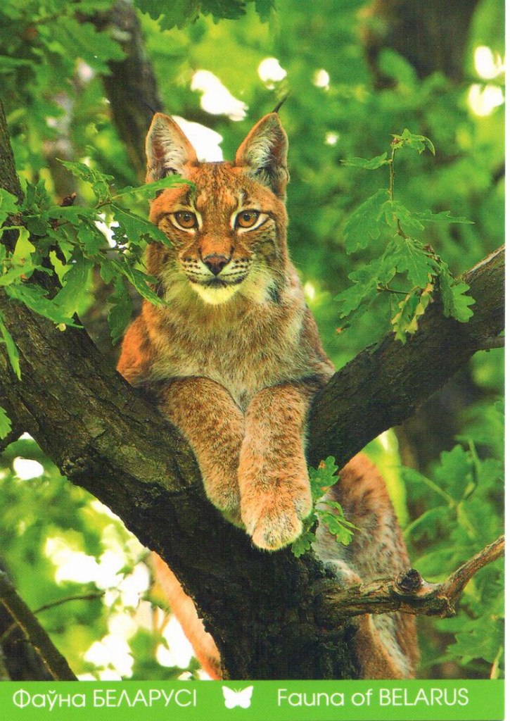 Andrey Chulov | Санкт-Петербург