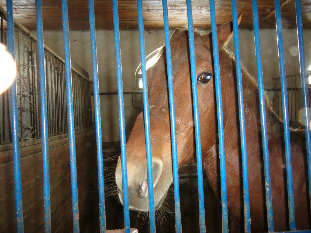 Сашка Видимка | Казань