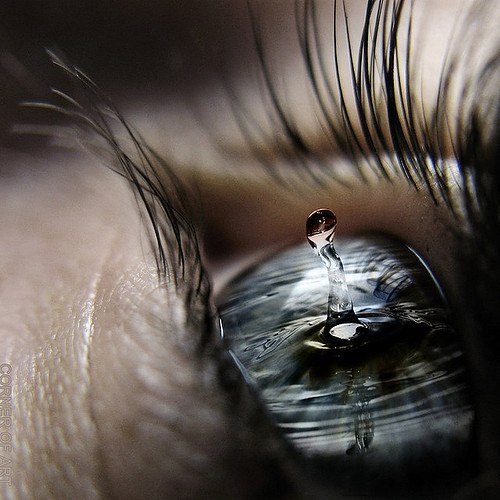 Катерина Якушенко | 