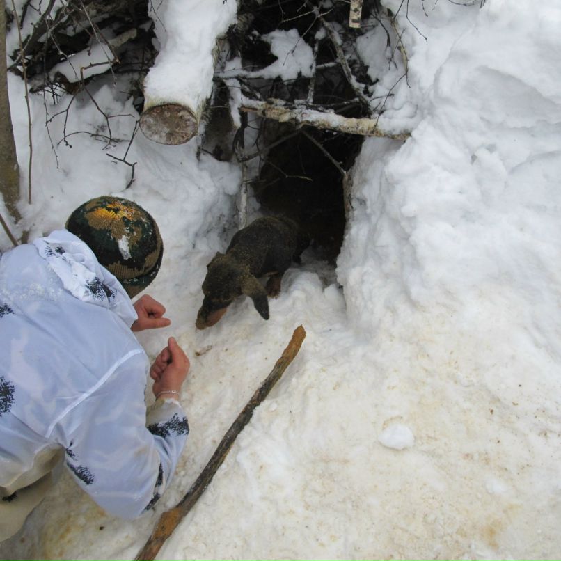 Катрин Старостина | Москва