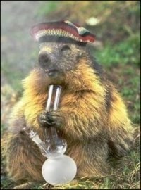 Анечка Плескач | Коростень