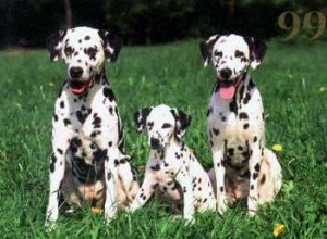 Владимир Василенко | Новоазовск