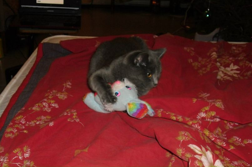 Света Касаткина | Лесной