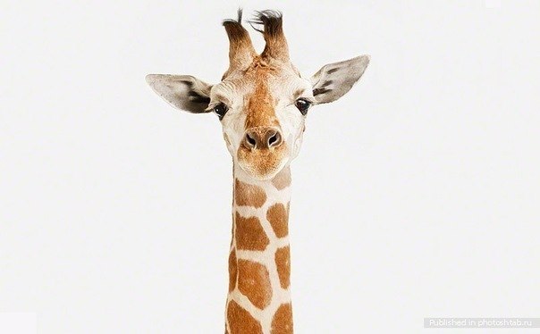 №69, Arinochka Moshkina, Ярославль №69, Arinochka Moshkina, Ярославль