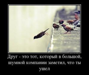 Олег Крапивкин | Кропивницкий / Кировоград