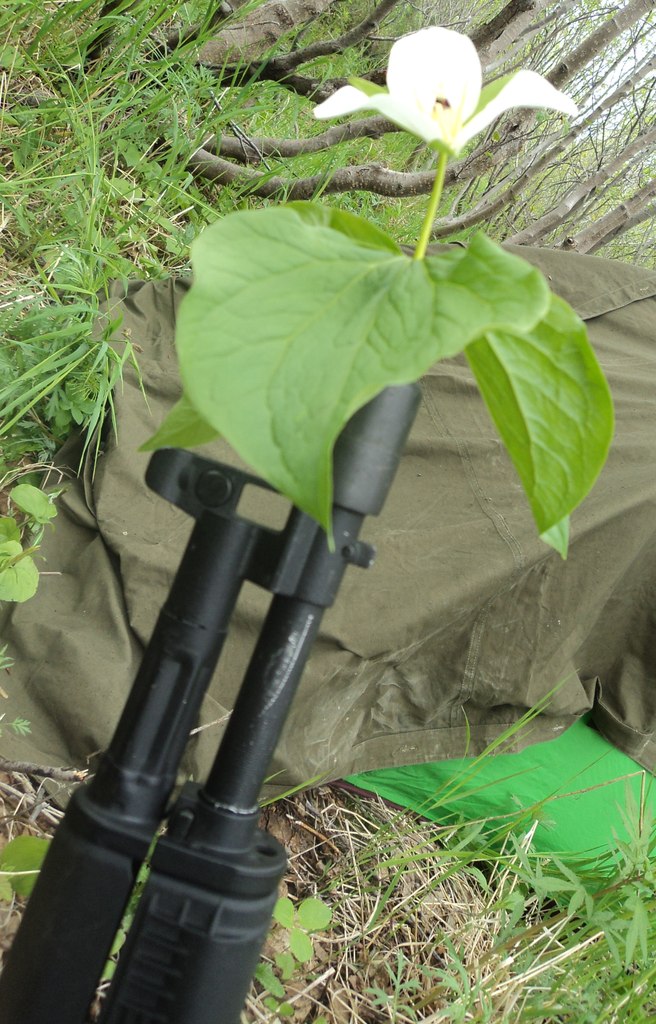 Светлана Титова Euthimya | 