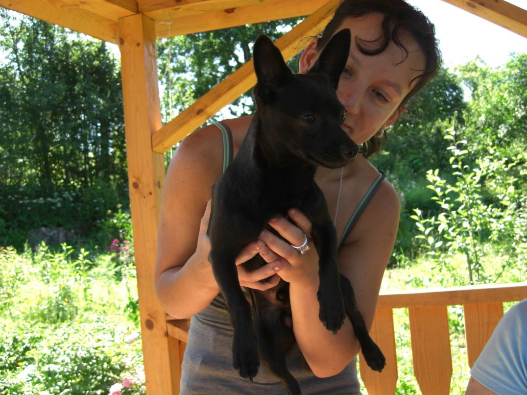 Нонна Мартыненко | Санкт-Петербург