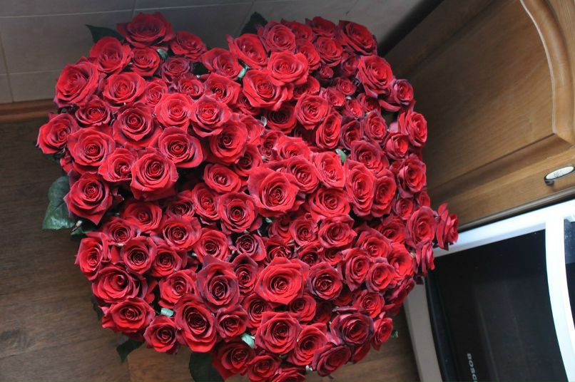 Лена Маржевская | Москва