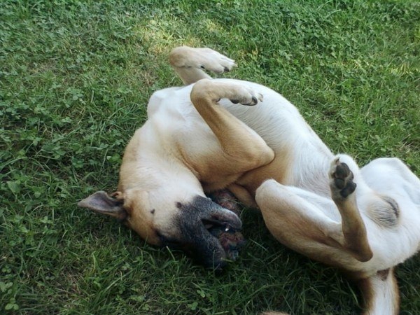 Сергей Дольнов | Москва