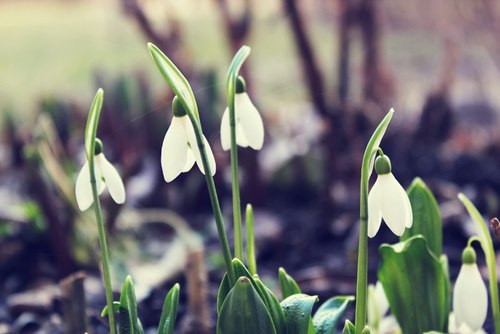 Татьяна Тулупова | Киев