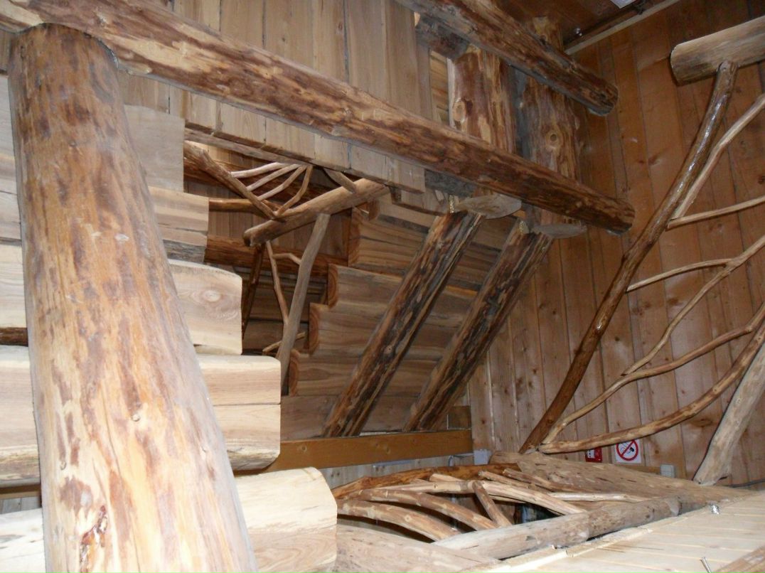 Ольчик Дедушева | Днепр (Днепропетровск)