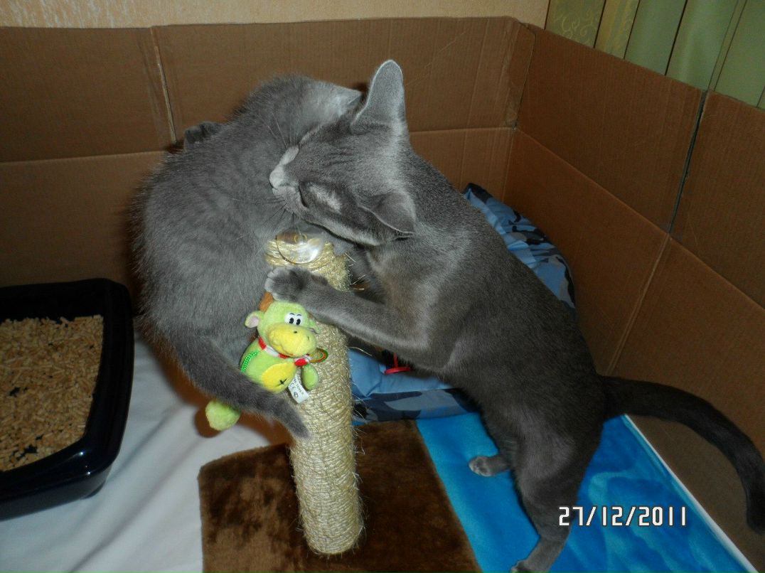 Ирина Егорова | Санкт-Петербург