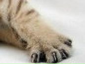 Алина Усова | Нижняя Тавда