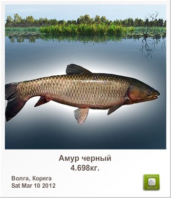 Александр Силин | Великие Луки