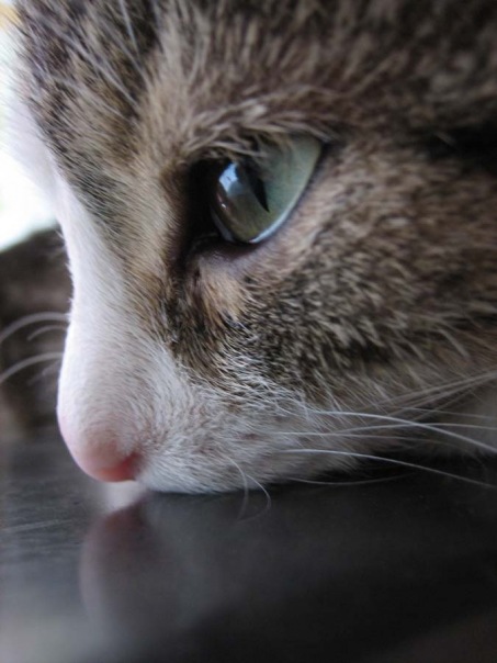 №89, Антон Никитин, 35 лет, Набережные Челны, Россия №89, Антон Никитин, 35 лет, Набережные Челны, Россия