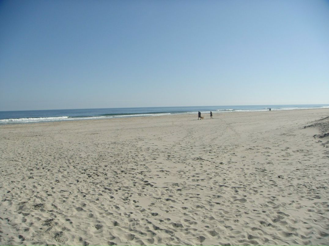 Денис Жохов | Санкт-Петербург