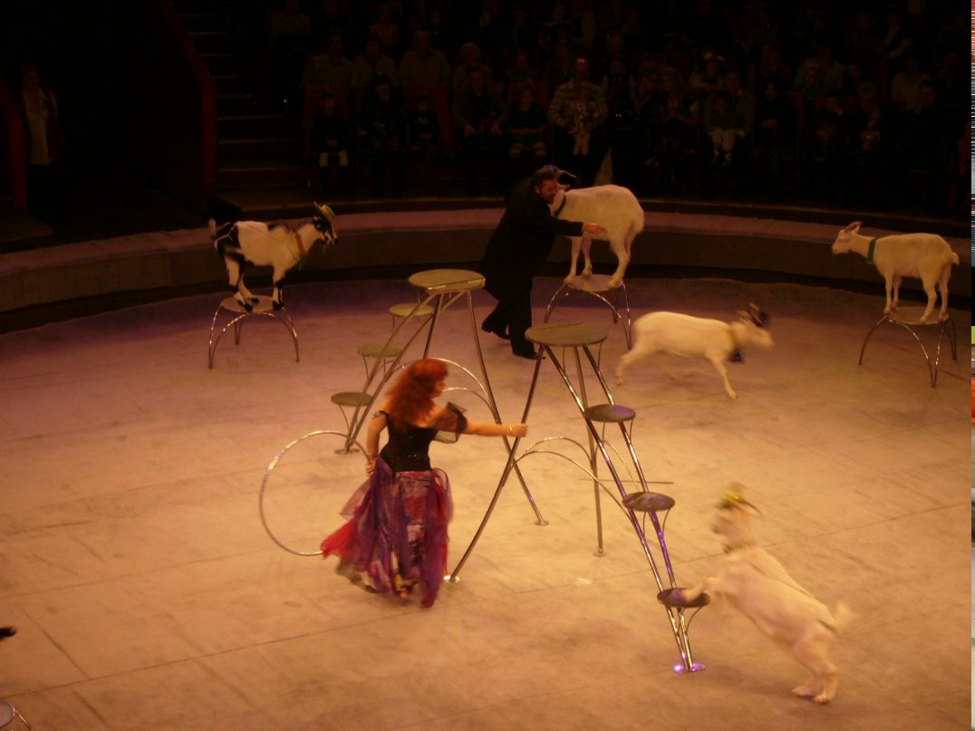 Валентина Королева | Санкт-Петербург