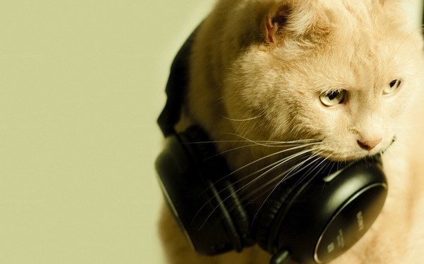 Никита Речкин | Москва