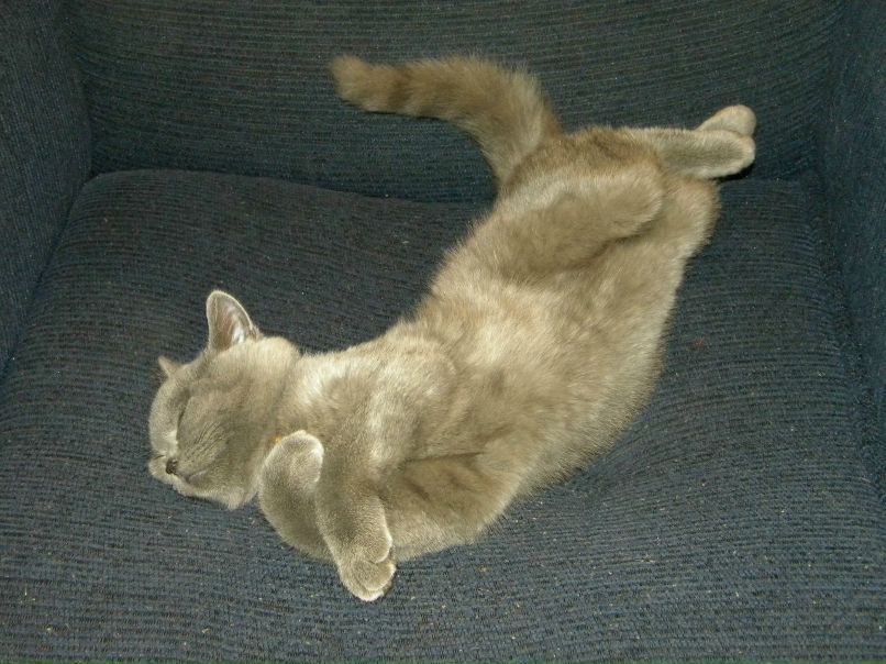 Любашка Каштанова | Санкт-Петербург