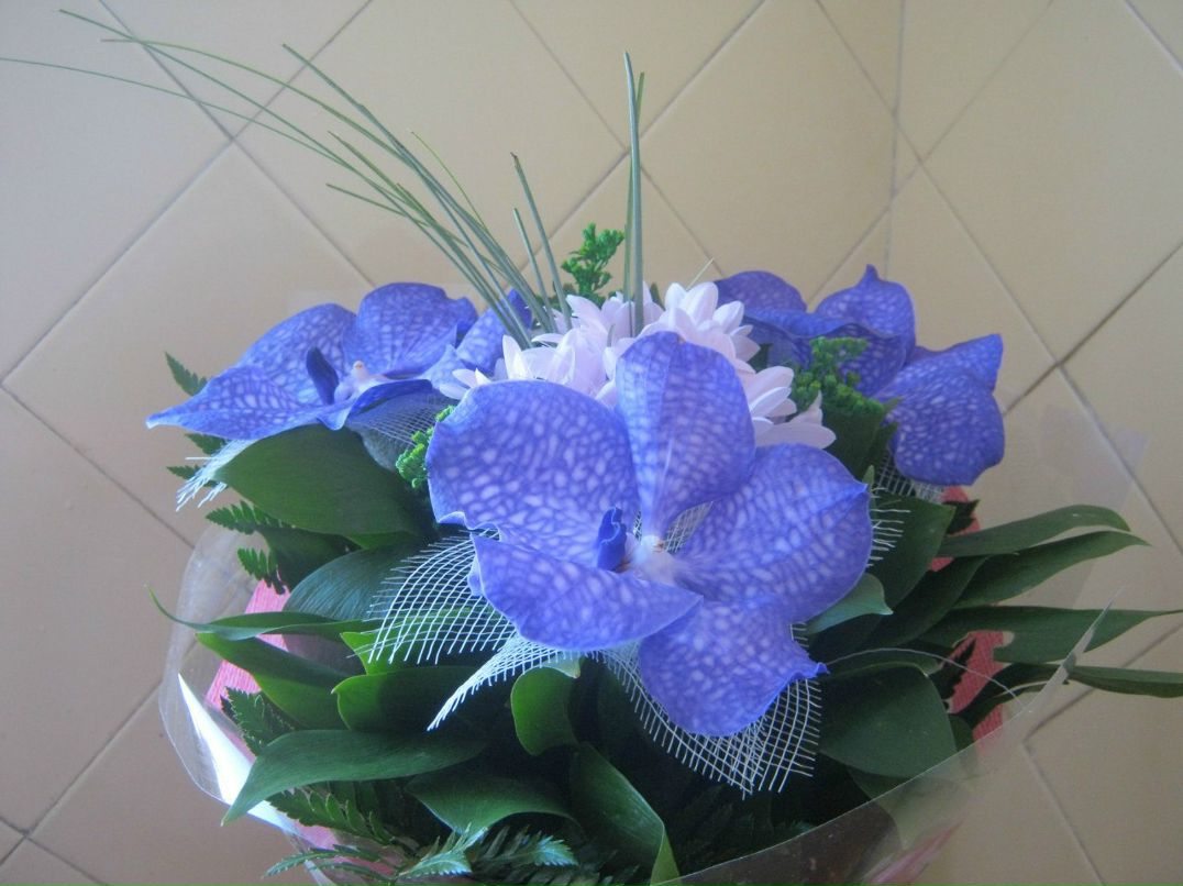 Анна Кудрявцева | Санкт-Петербург