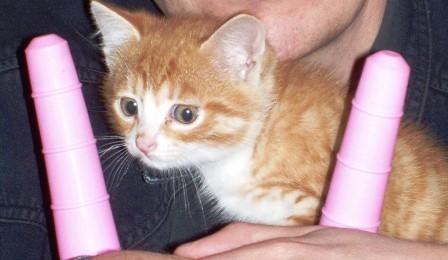 Татьяна Васютина | 