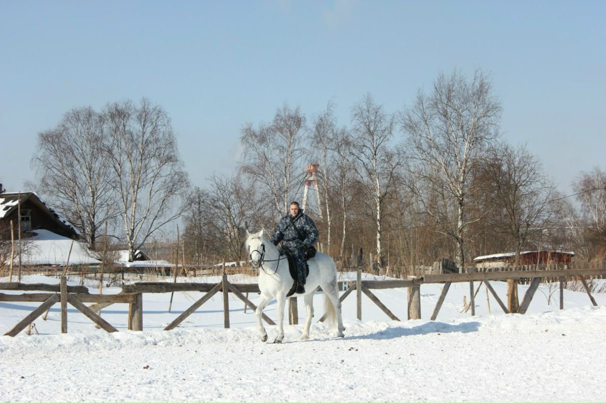 Виктор Бубнов | Череповец